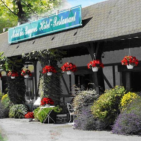 Motel Des Bruyeres Lamotte-Beuvron Exterior photo