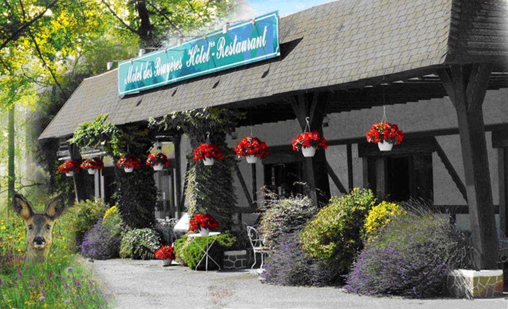 Motel Des Bruyeres Lamotte-Beuvron Exterior photo