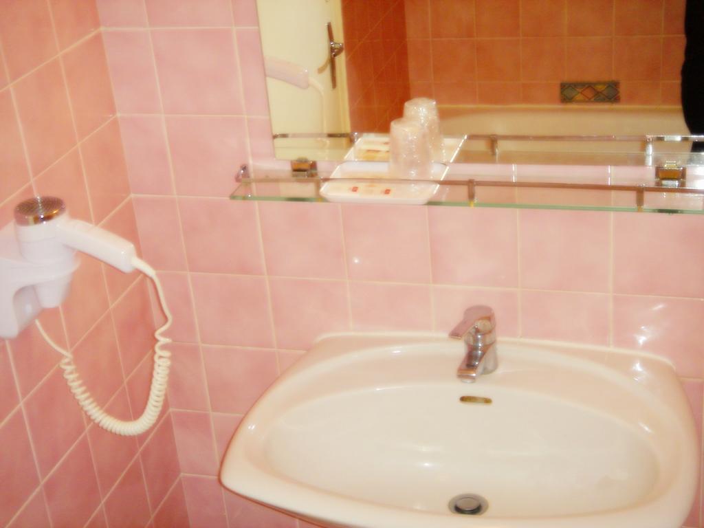 Motel Des Bruyeres Lamotte-Beuvron Room photo